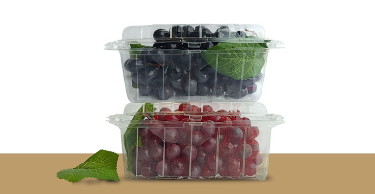 PET thermoforming products punnet box by JB Polypack