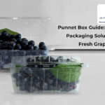 Punnet Box