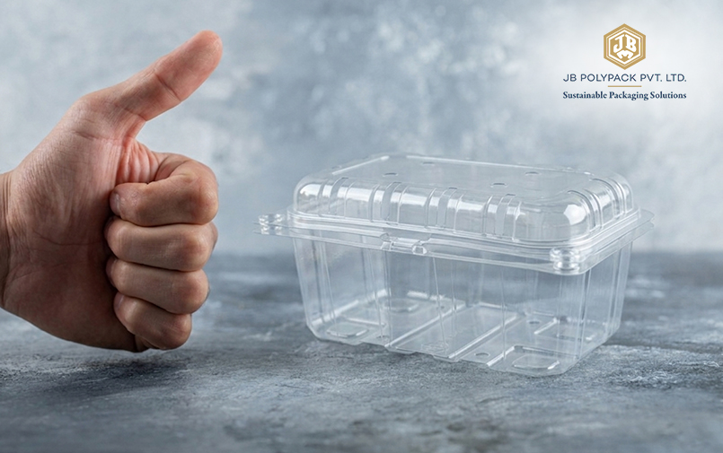 Hinged Plastic Box