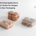 Hinged Plastic Box